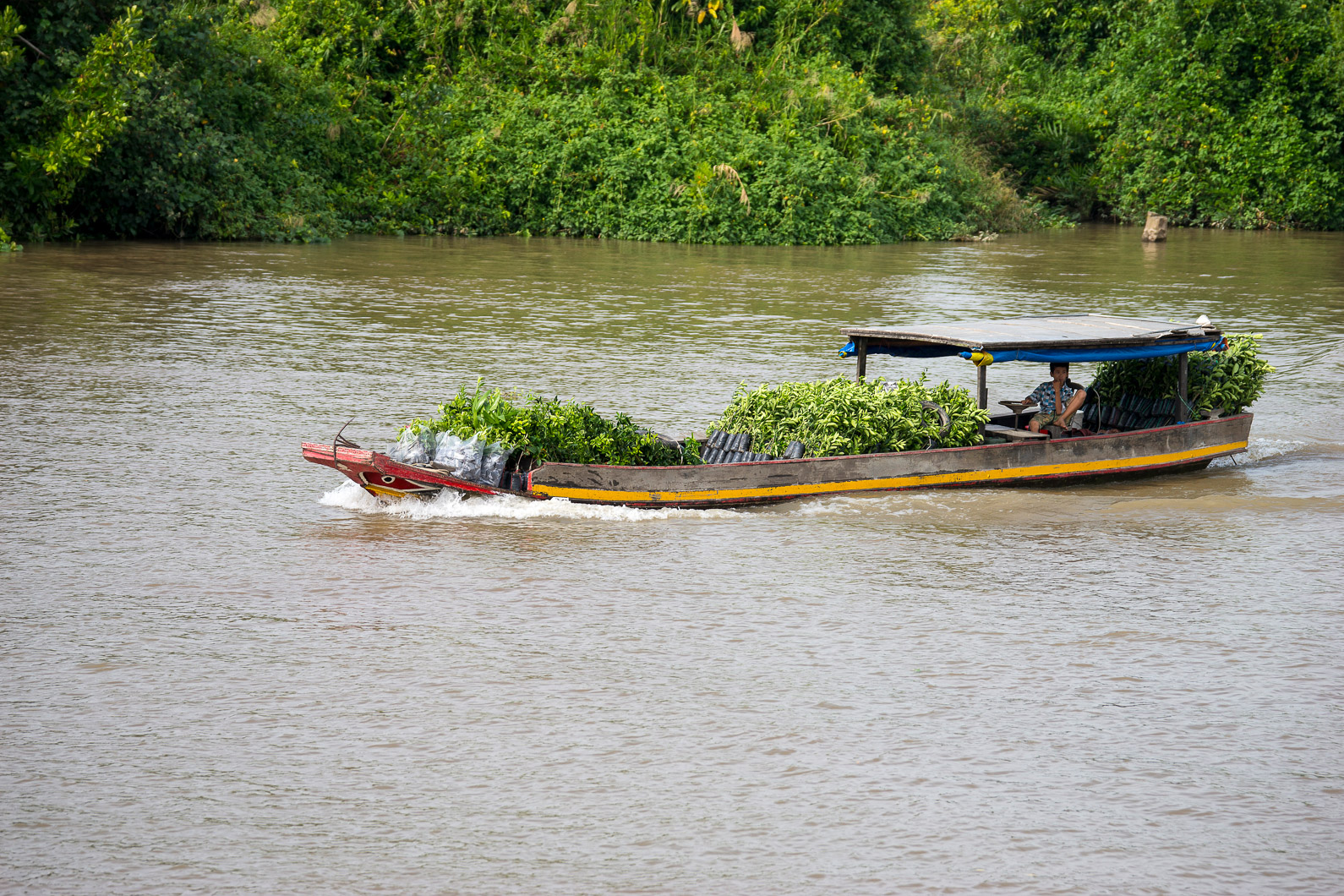 20141119 142522 Weg von can Tho nach Cai Be